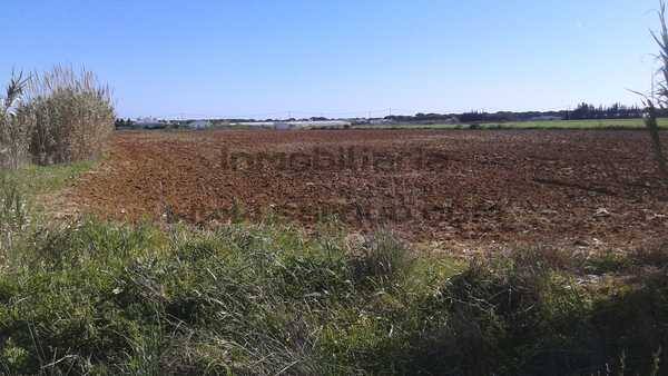 Las Parcelas de Roche, foto 5 de 6